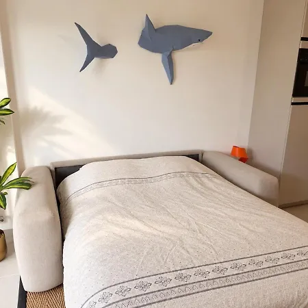Shark - A 1 Minute - Parking * Berck